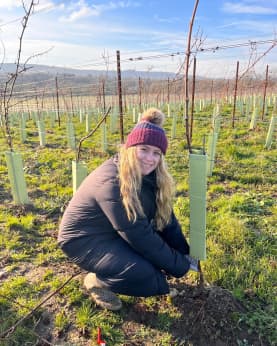 Abingworth Vineyard Abingworth Careers Image 10 - Thumbnail