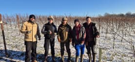 Abingworth Vineyard Abingworth Careers Image 13 - Thumbnail