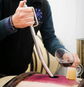 Abingworth Vineyard Abingworth Careers Image 4 - Thumbnail