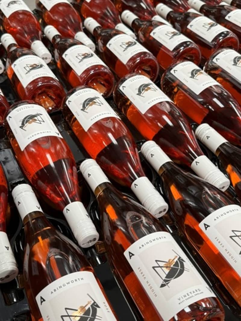 Abingworth Vineyard Blog Image - HV 2