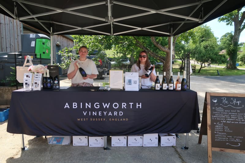 Abingworth Vineyard Blog Image - Blog Image 8