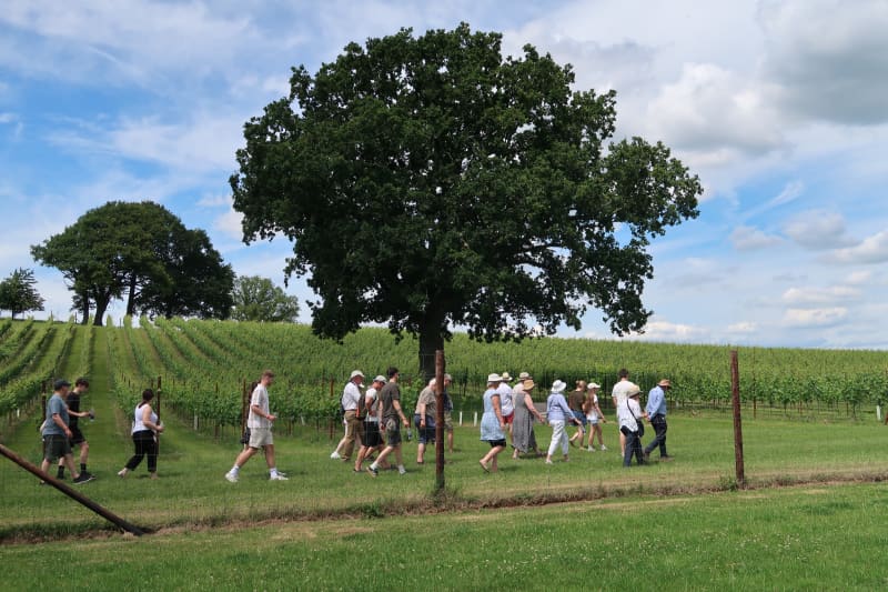 Abingworth Vineyard Blog - Does Wine Taste Better at a Vineyard?
