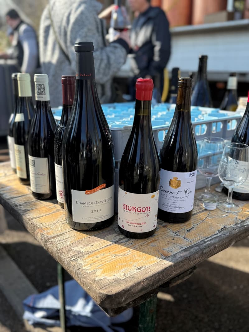 Abingworth Vineyard Blog Image - Blog Image 4