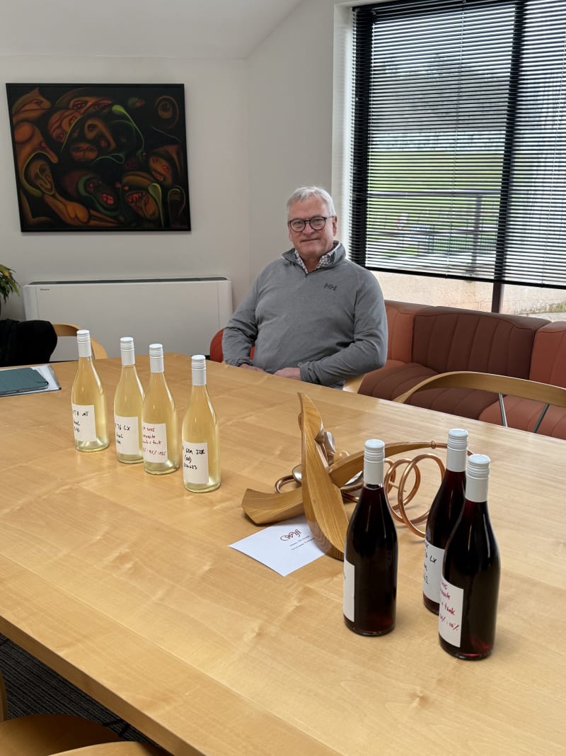 Abingworth Vineyard Blog Image - Blog Image 13