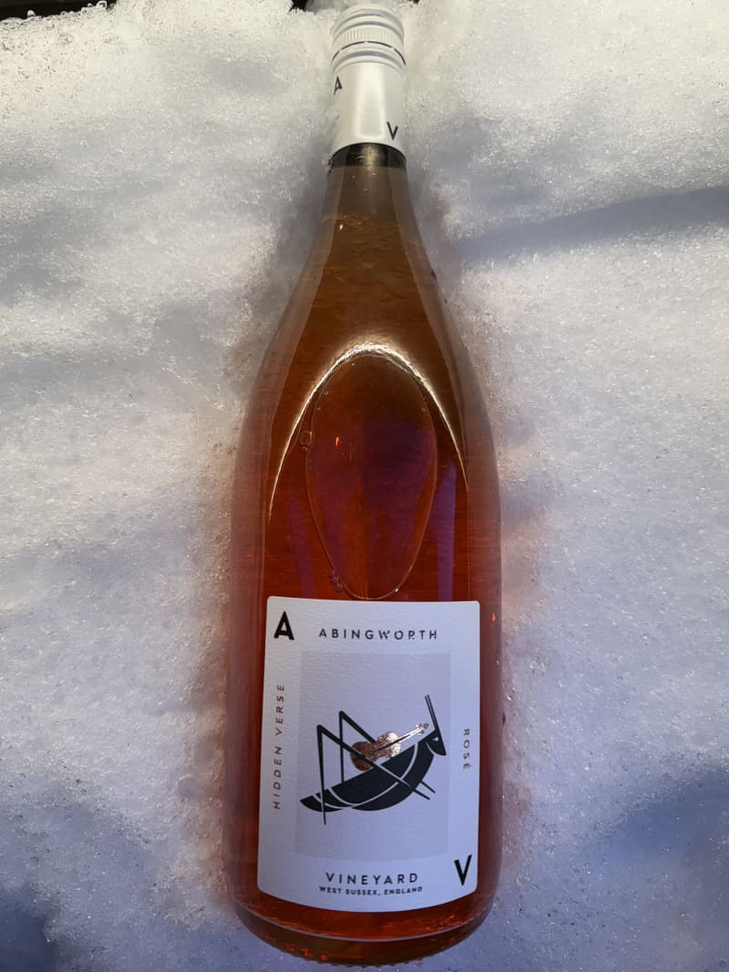 Abingworth Vineyard Blog Image - HV 4