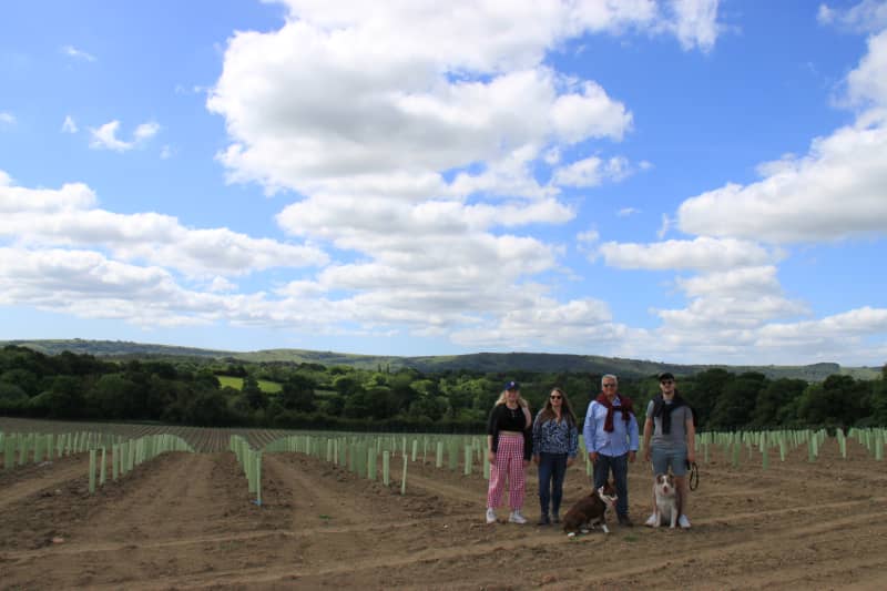 Abingworth Vineyard Blog Image - Blog Image 1