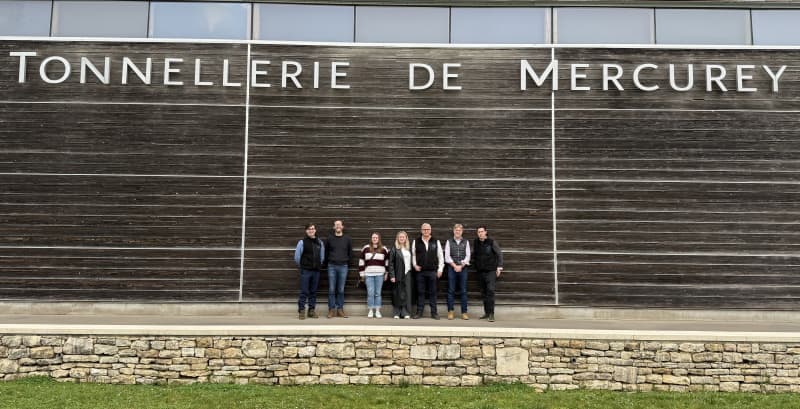 Abingworth Vineyard Blog - What English Wine Can Learn from Burgundy