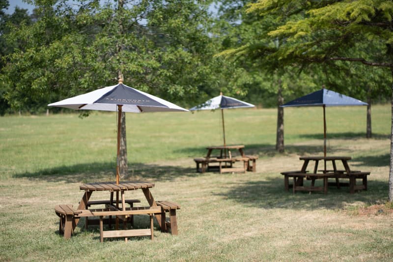 Abingworth Vineyard Blog Image - Blog Image 11