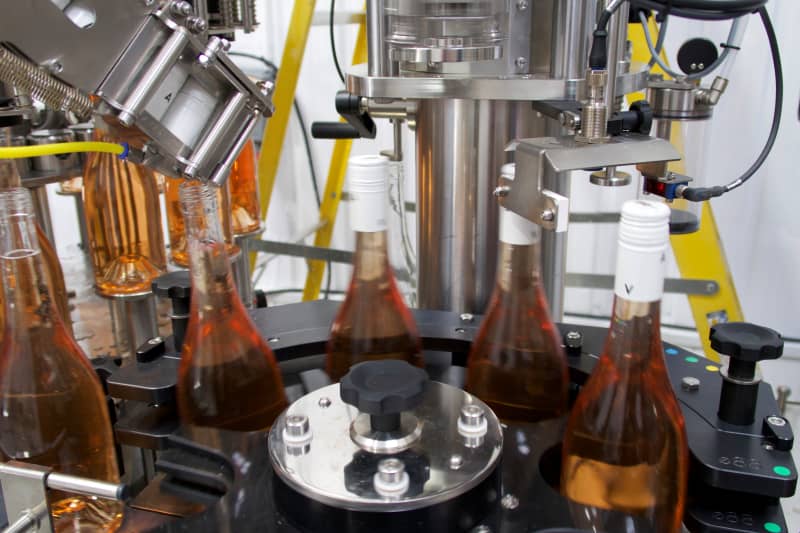 Abingworth Vineyard Blog Image - Blog Image 4