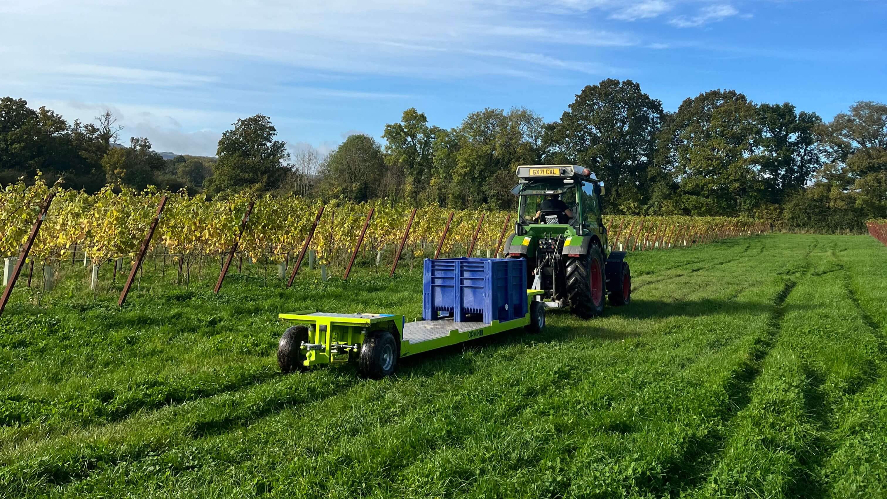 Abingworth Vineyard - About Image 1