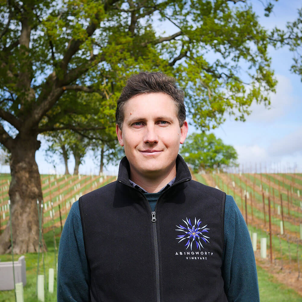 Abingworth Vineyard Team Member - Dominic Travers