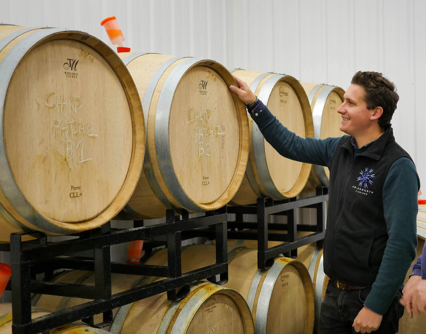 Abingworth Vineyard - About Image 2