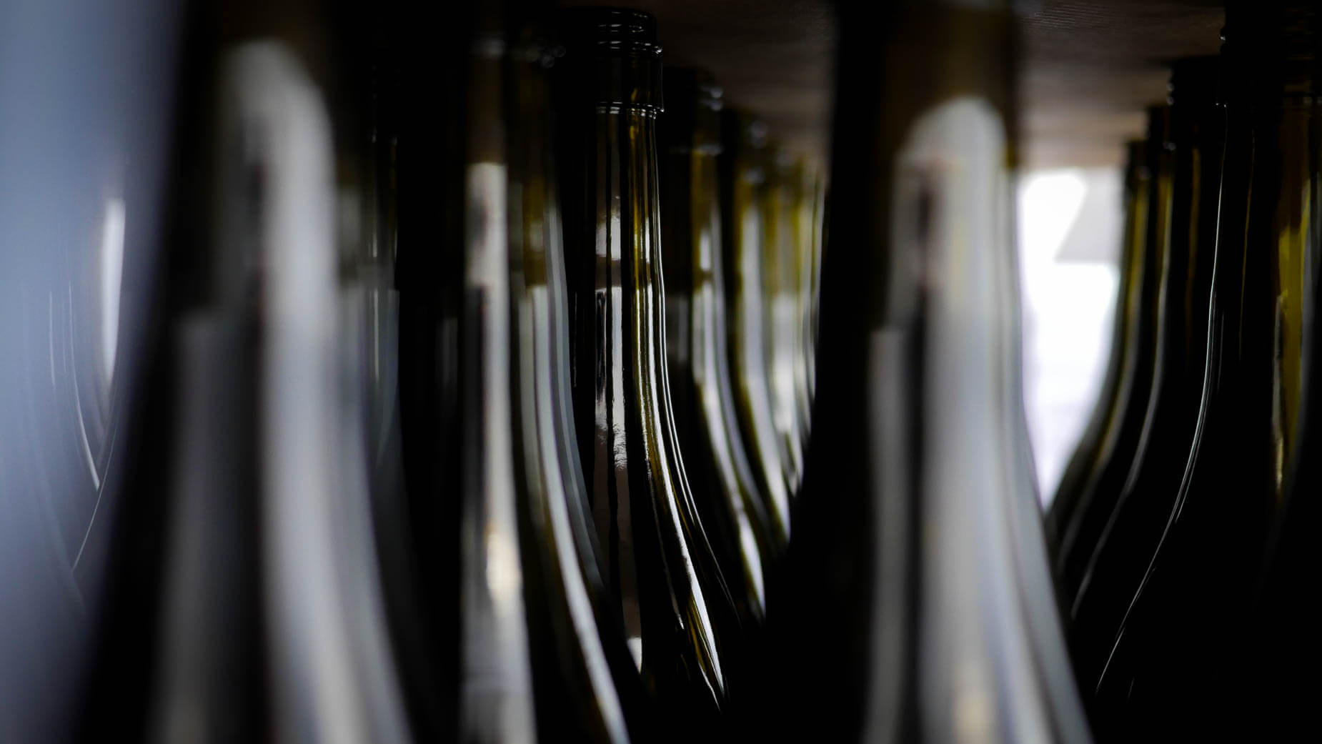 Abingworth Vineyard - About Image 2