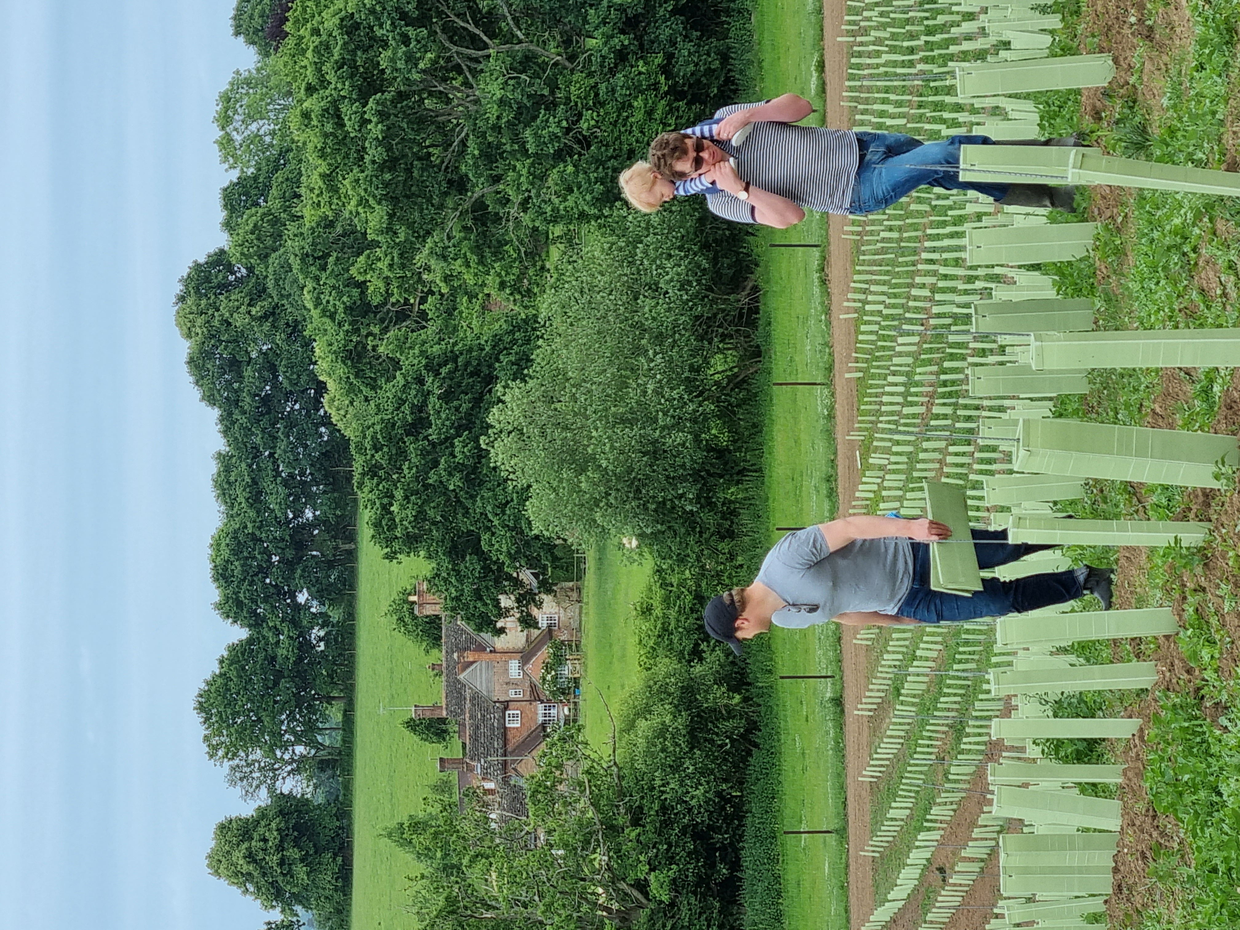 Abingworth Vineyard - About Image 1