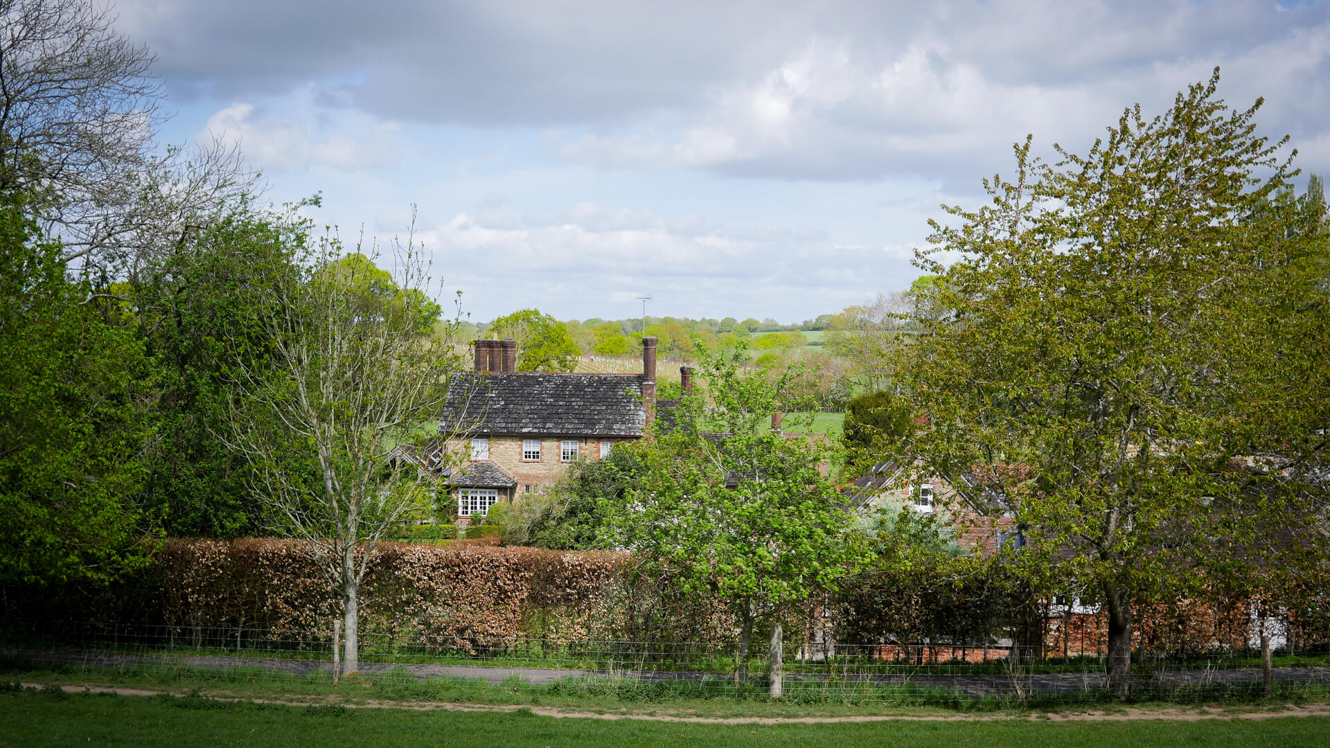 Abingworth Vineyard - About Image 2