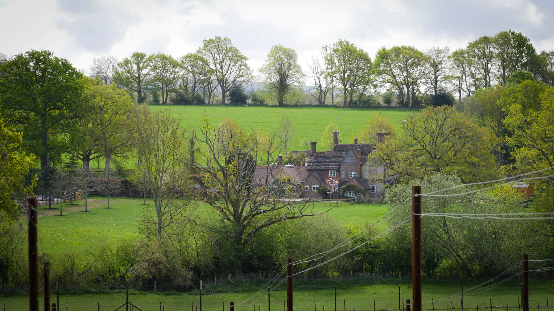 Abingworth Vineyard - About Image 1