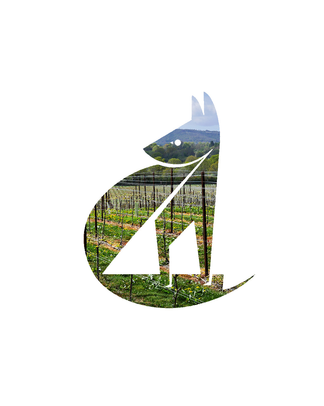 Abingworth Vineyard - About Image 1