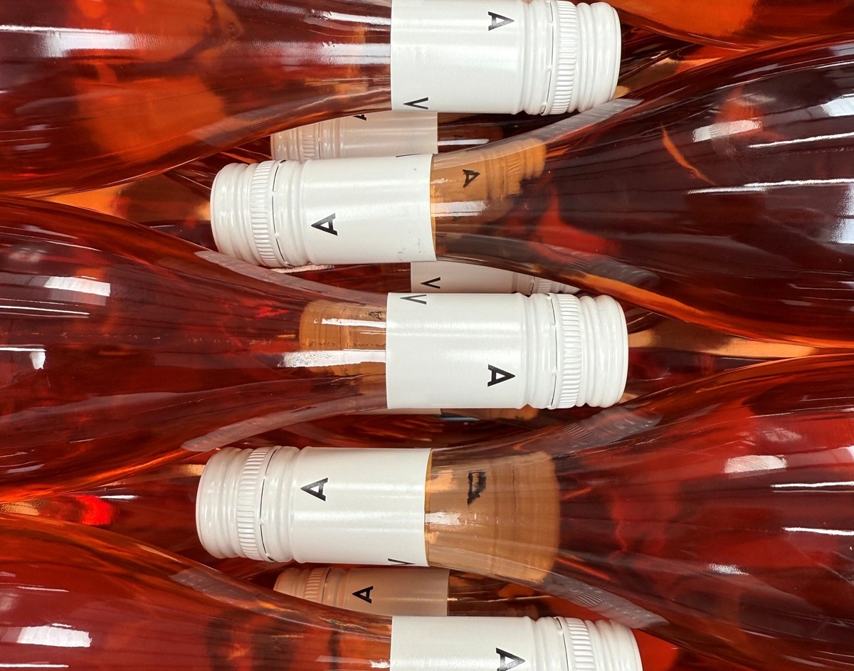 Abingworth Vineyard - About Image 2