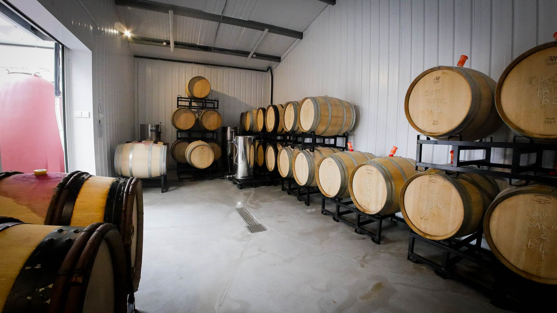 Abingworth Vineyard - About Image 1