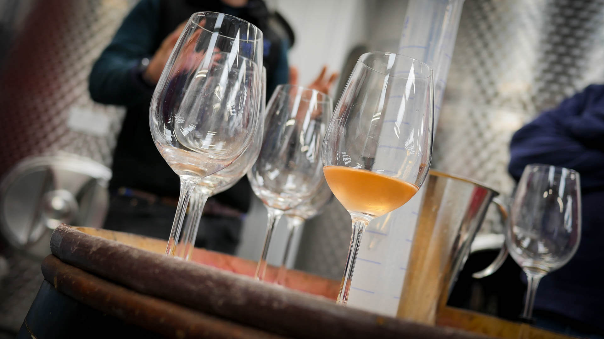 Abingworth Vineyard - About Image 2