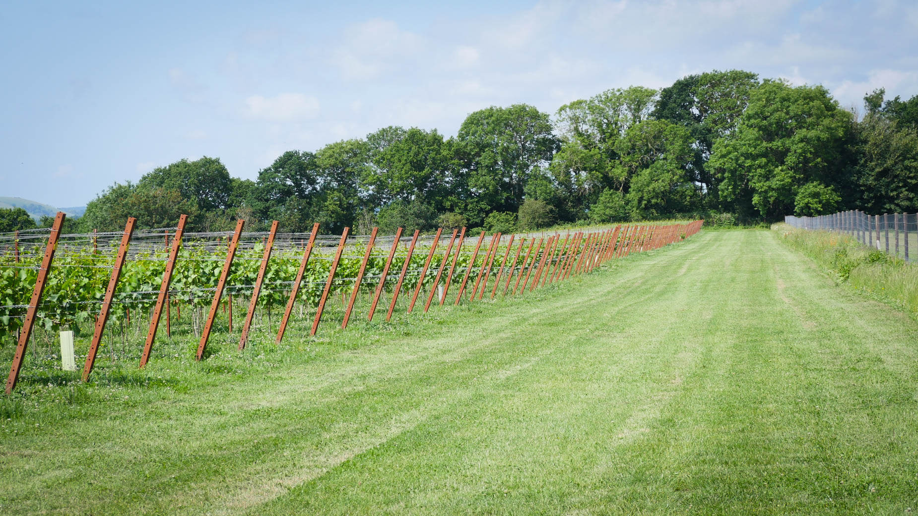 Map Image - Chardonnay 76