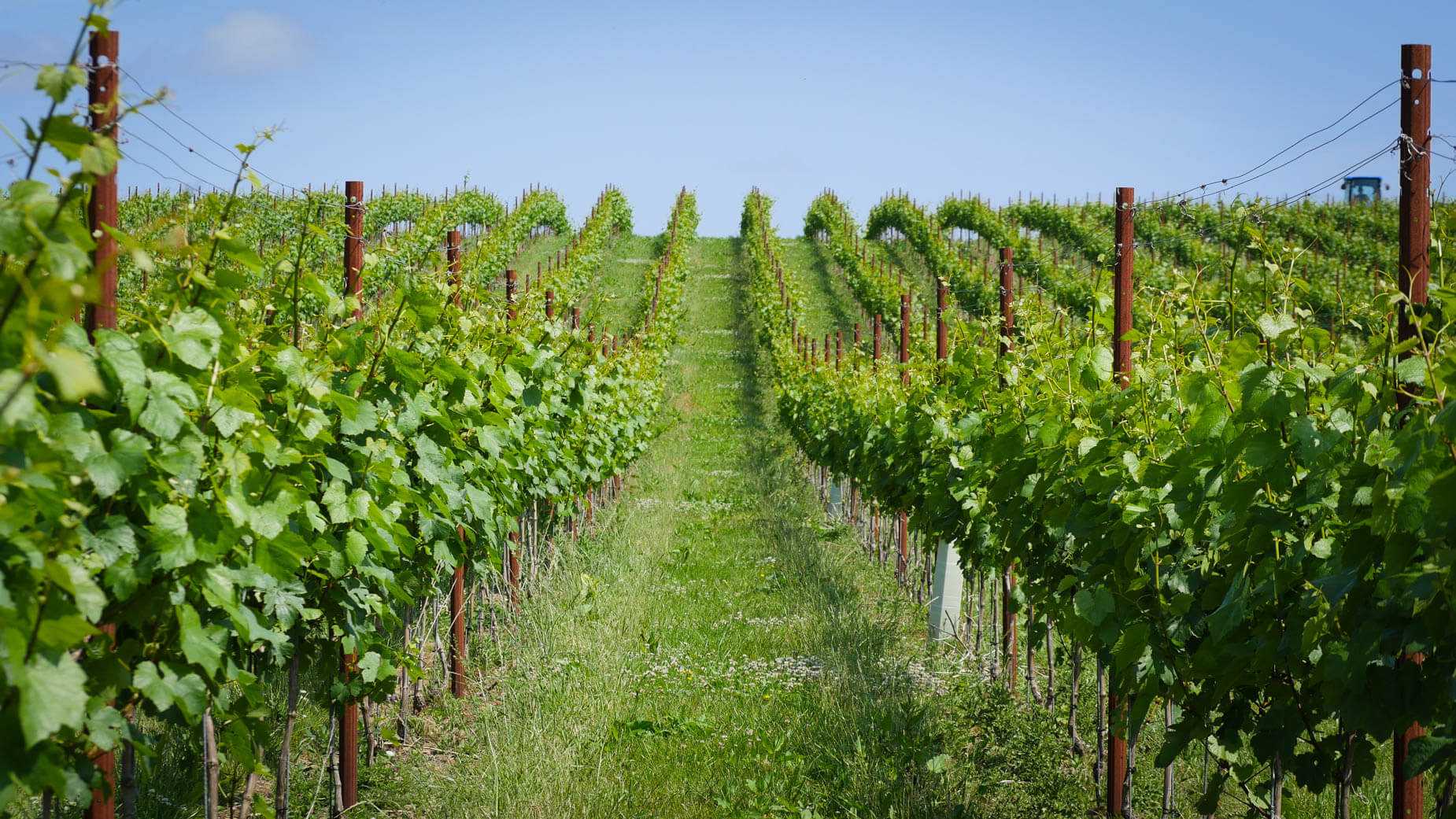 Map Image - Chardonnay 121