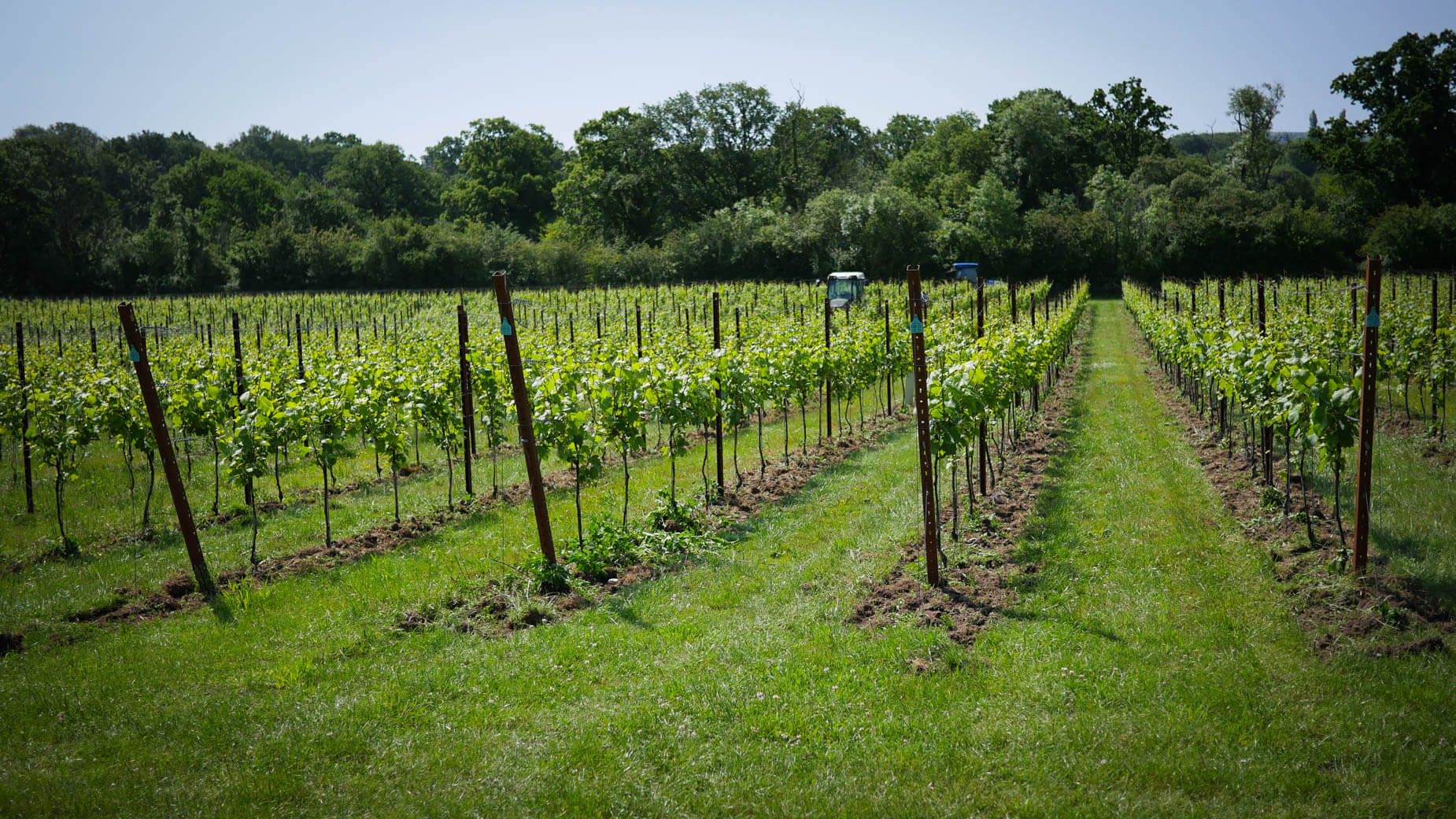 Map Image - Pinot Gris G1-32