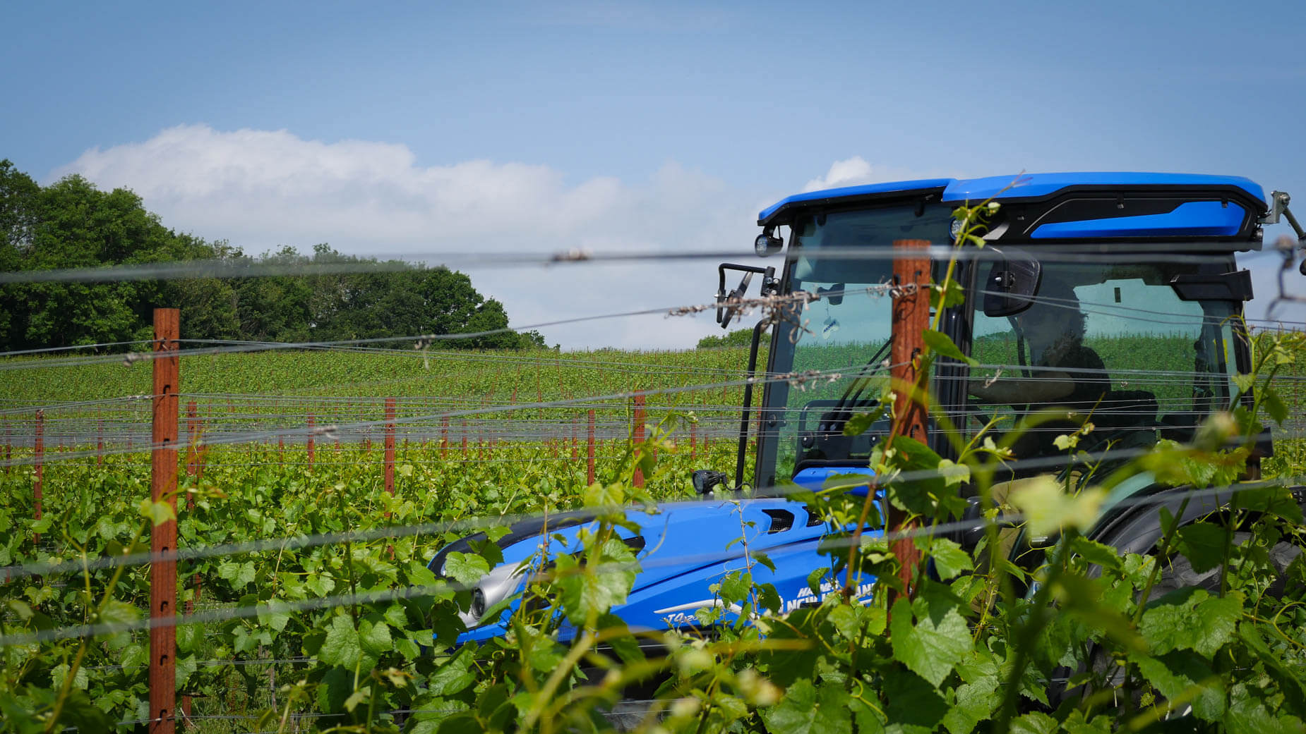 Map Image - Sauvignon Blanc 906