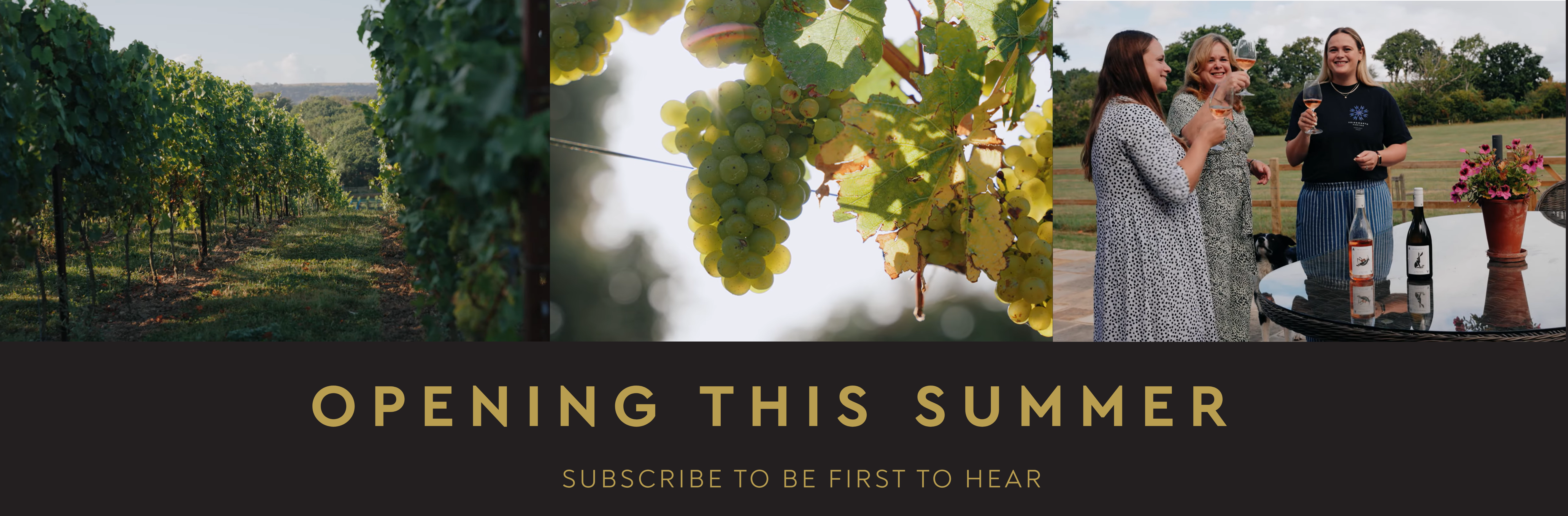 Abingworth Vineyard Notice Banner Image