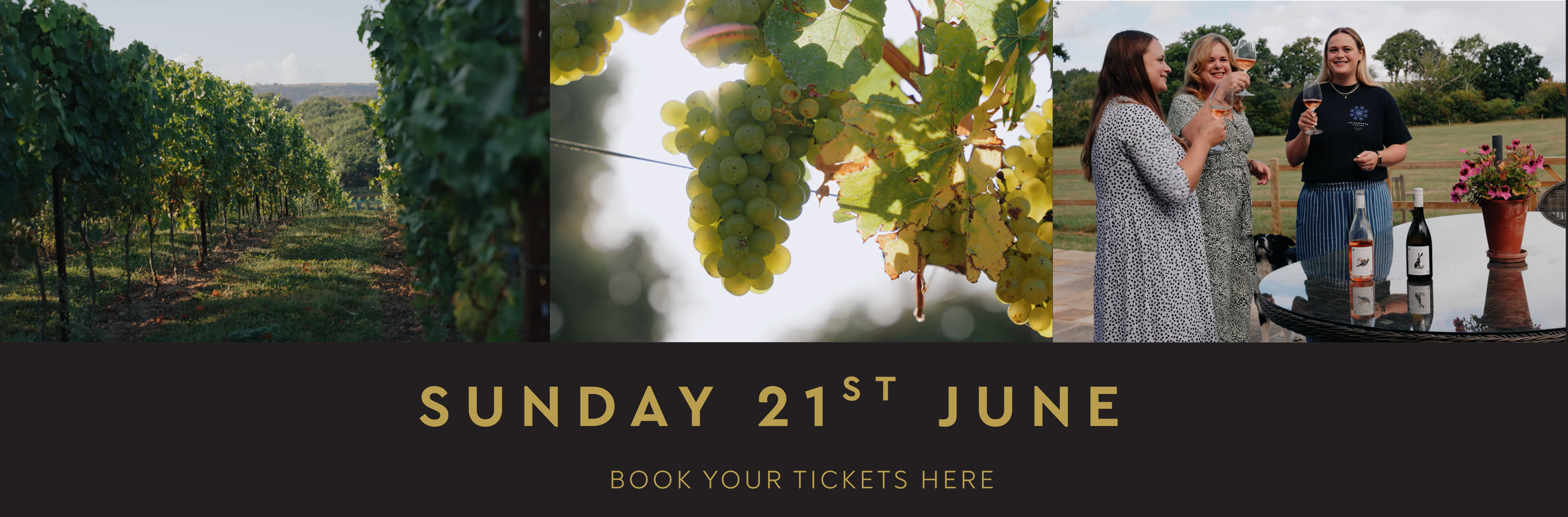 Abingworth Vineyard Notice Banner Image