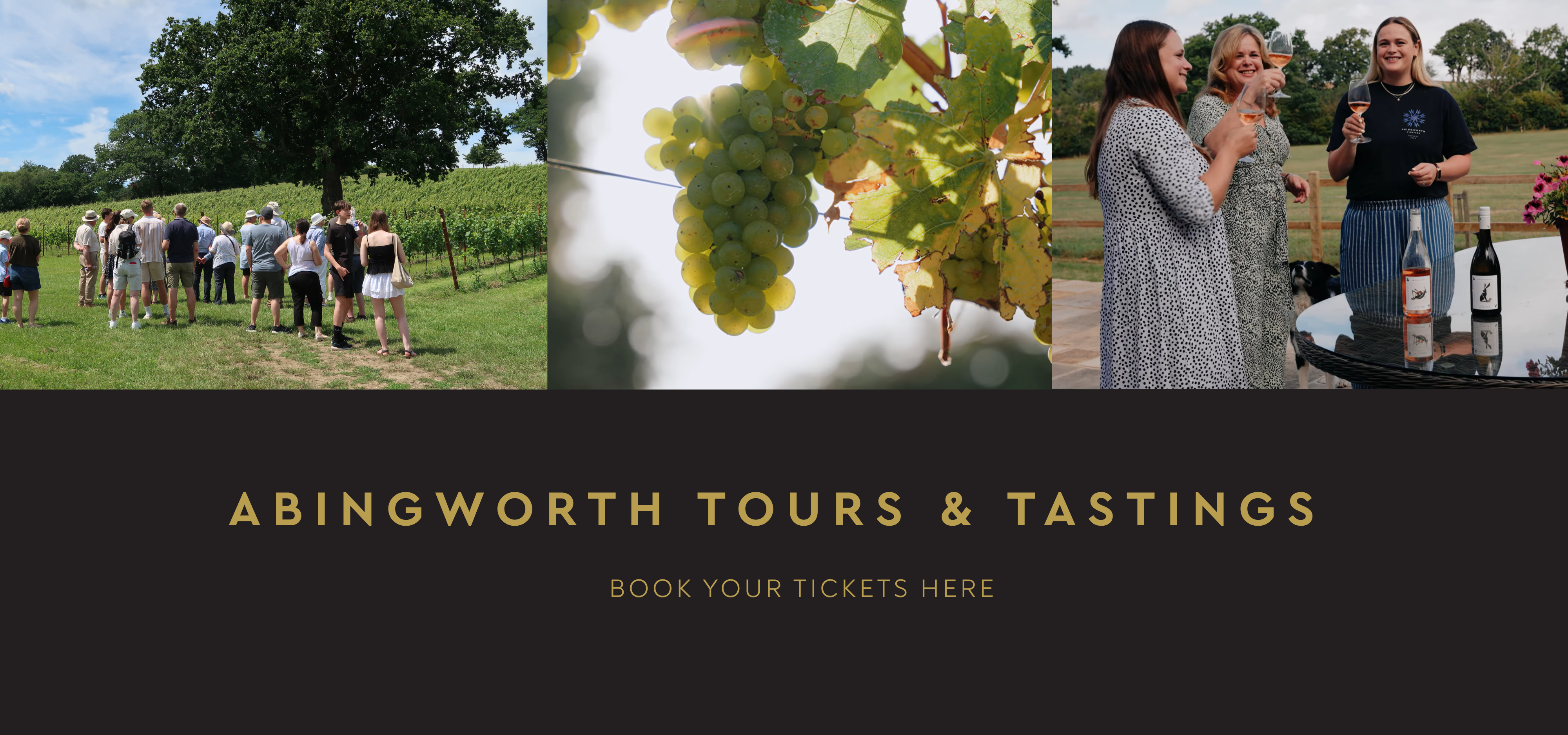 Abingworth Vineyard Notice Banner Image