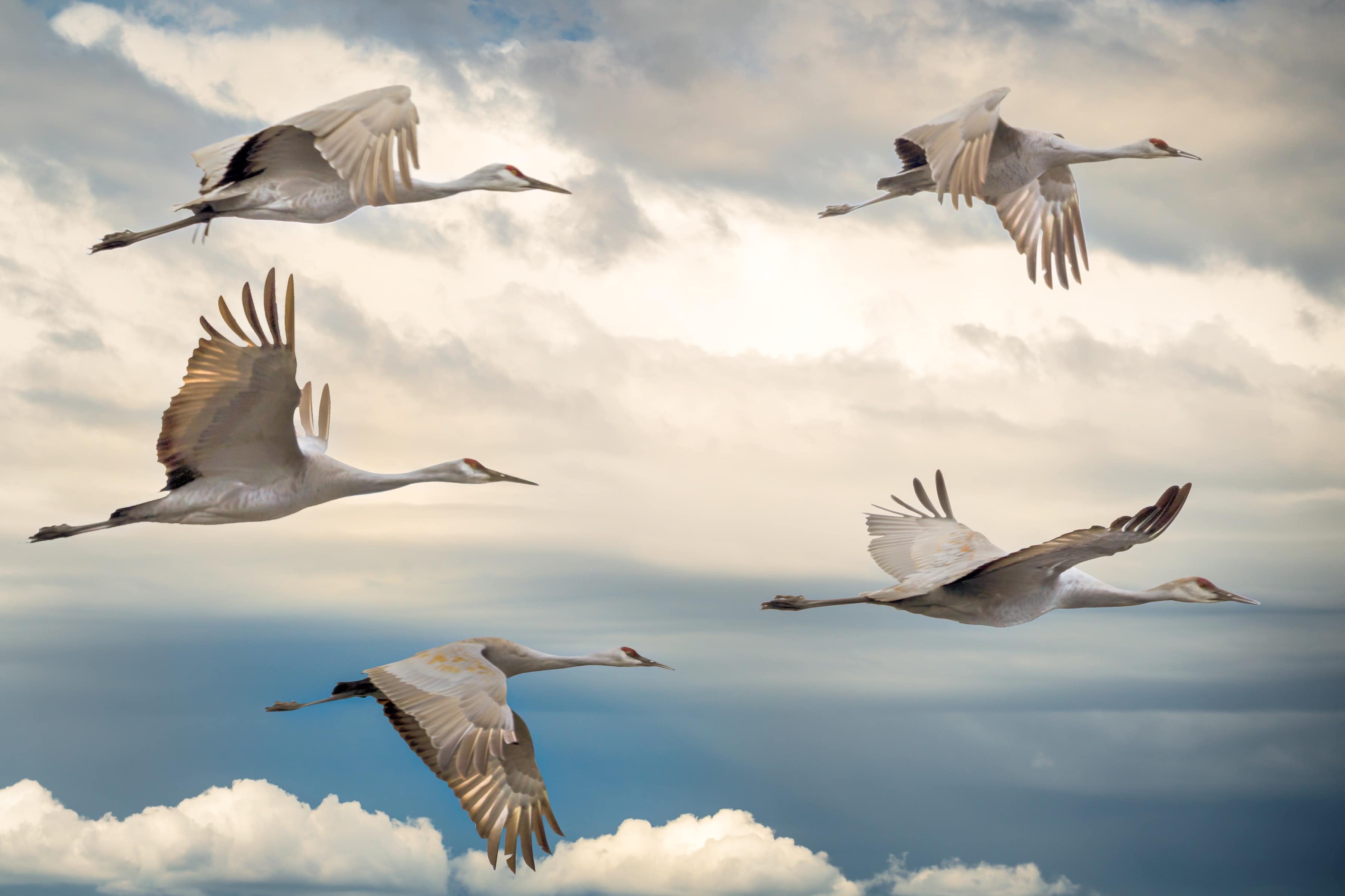 Moving projects easily: GitLab migration automation benefits