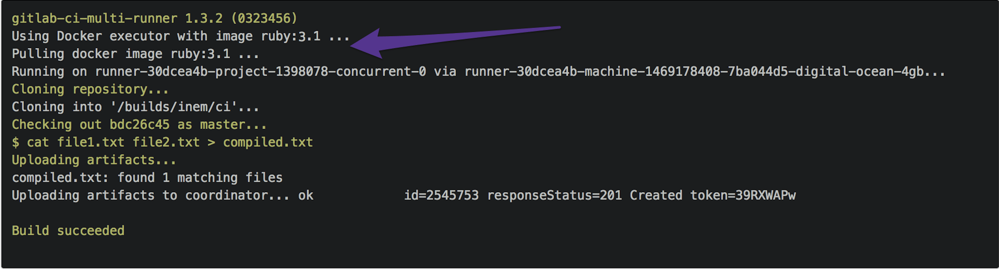 Image ruby 3.1