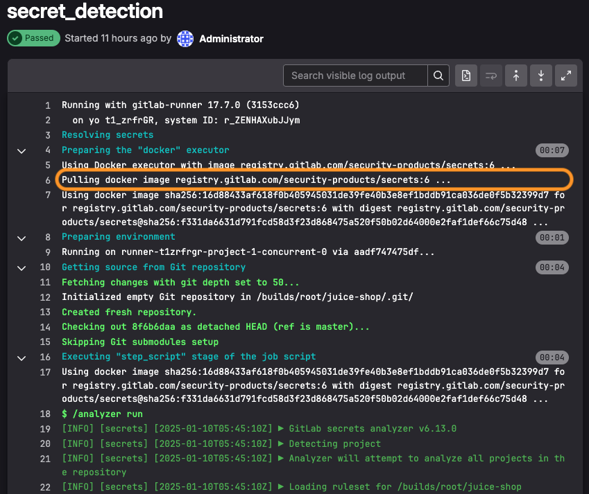 GitLab Runner with internet access successfully pulling from external registry
