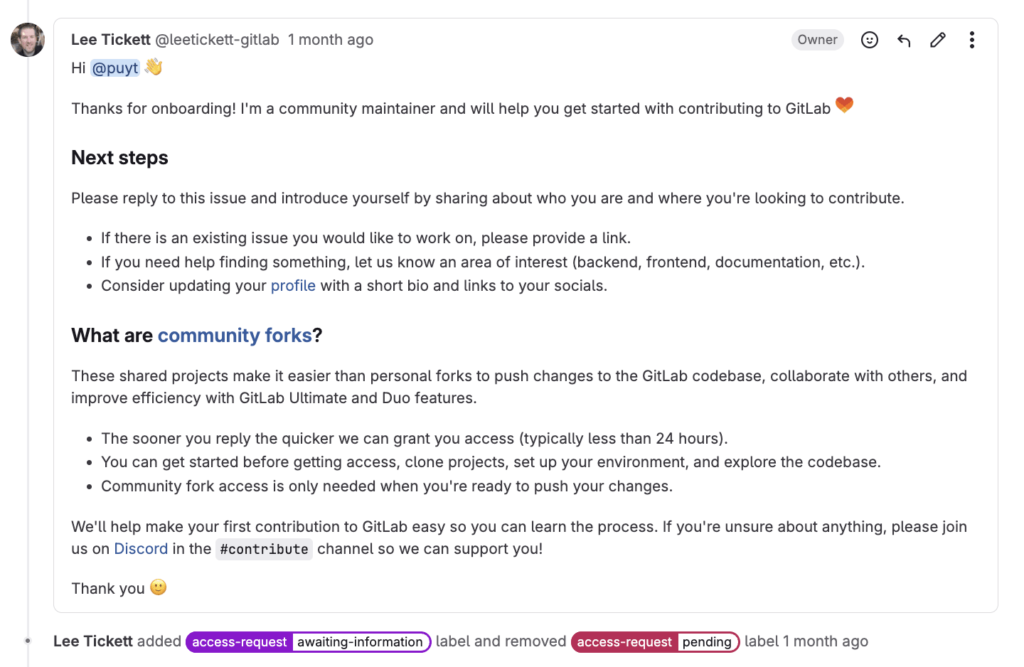 GitLab comment template