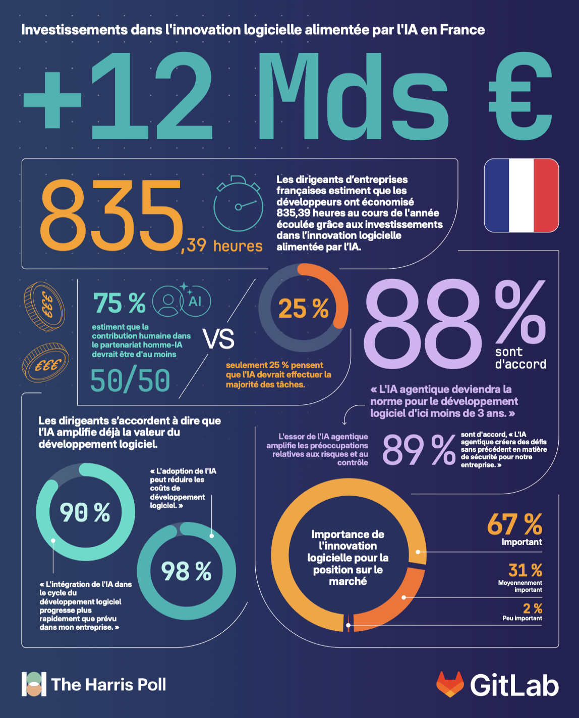 Infographie sur l'innovation logicielle en France