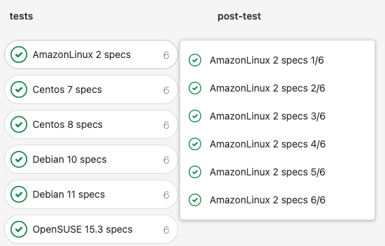 Amazon Linux 2 Test Results
