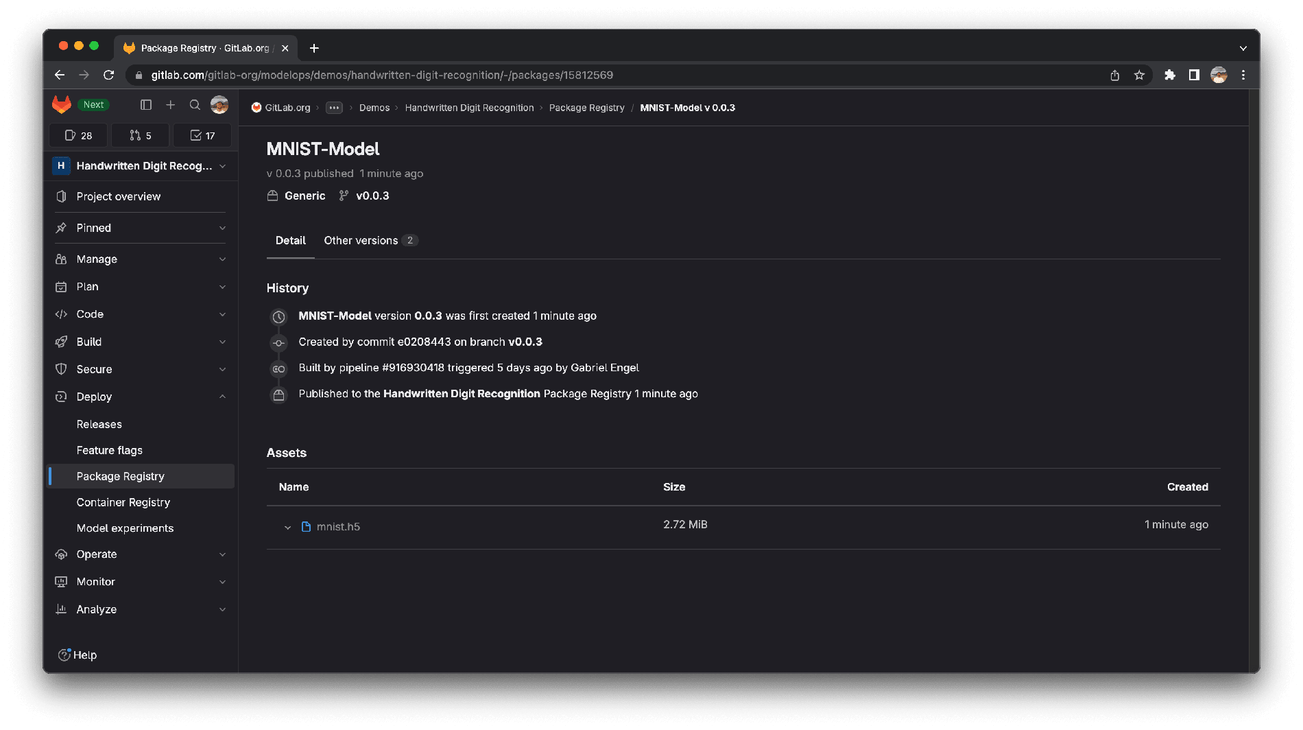 Package Registry