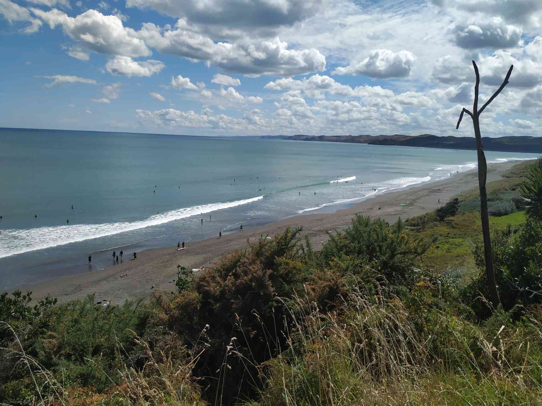 Raglan