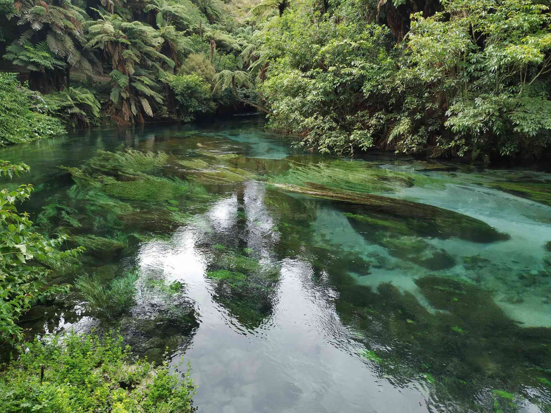 Blue Springs