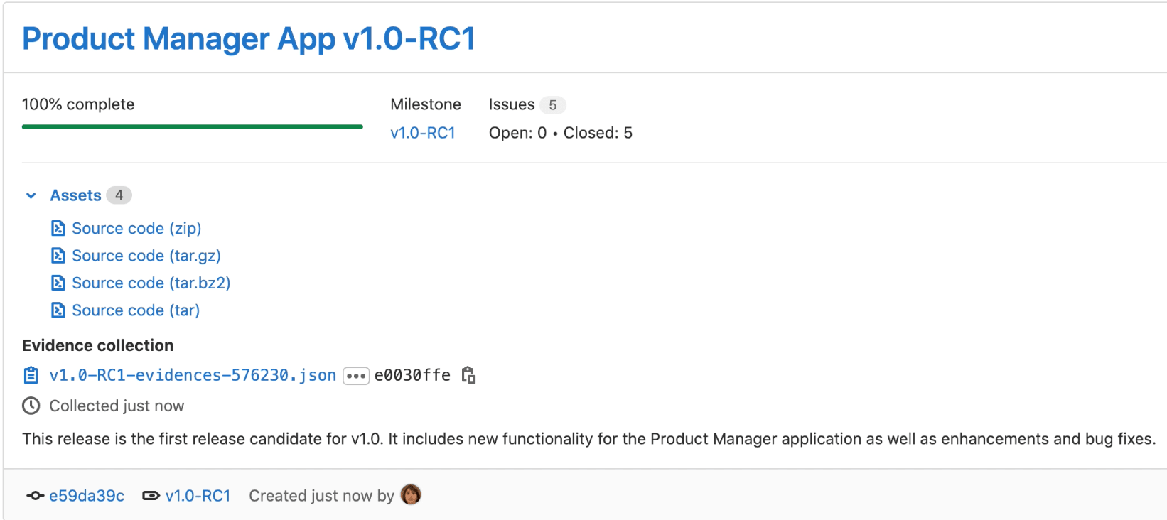 Example of release evidence from demo project