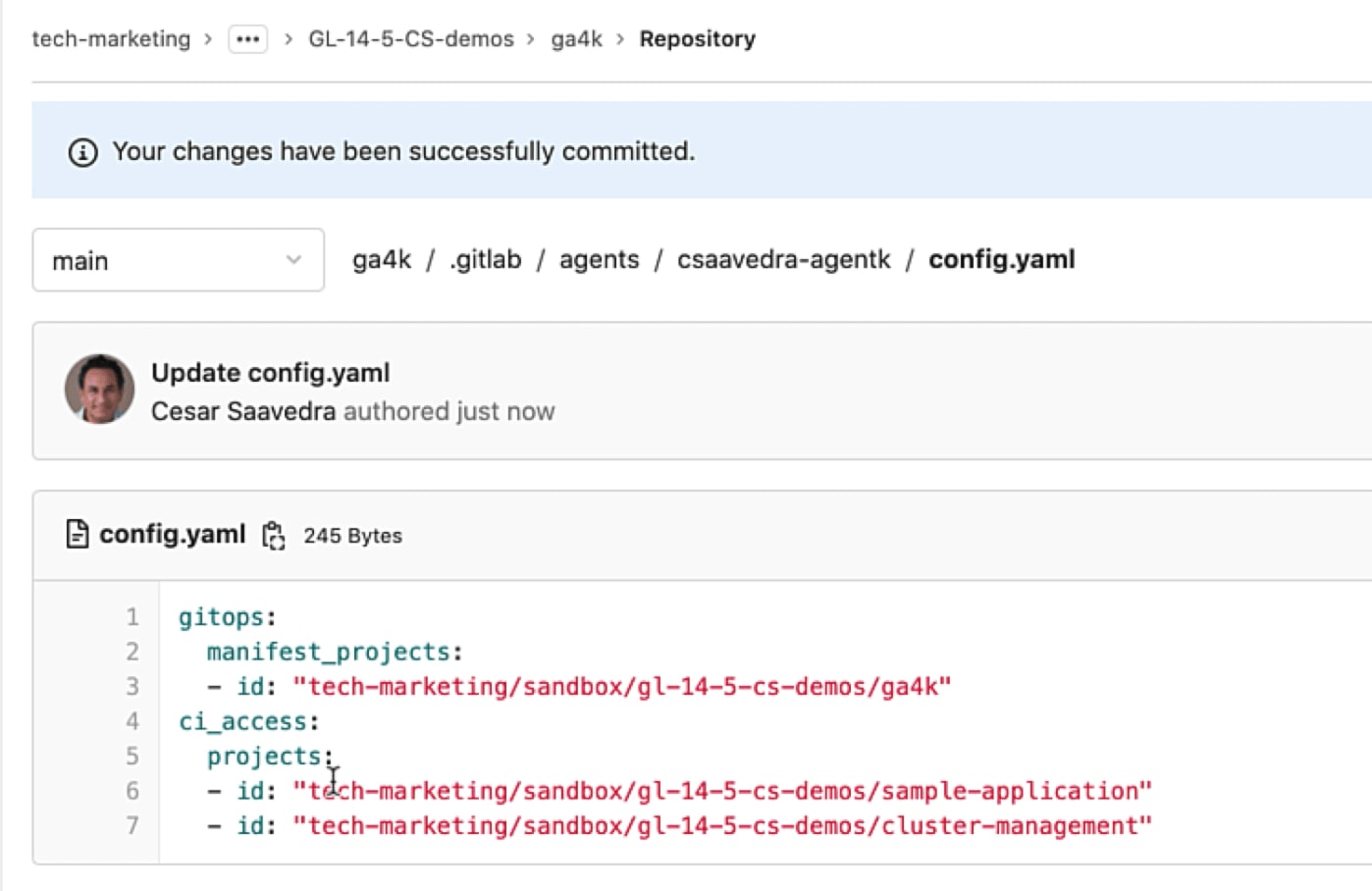 The GitLab Agent for K8s configuration
