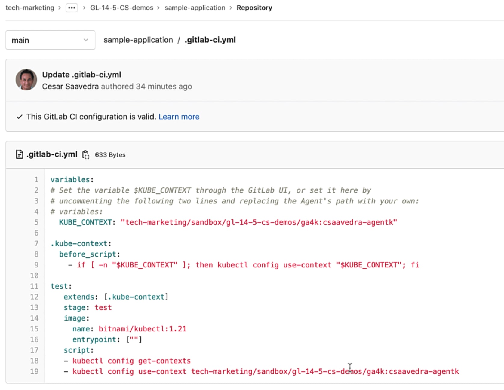 Project "sample-application" pipeline