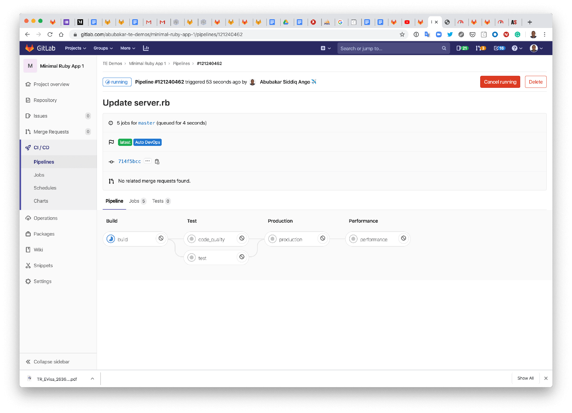 Project Pipeline