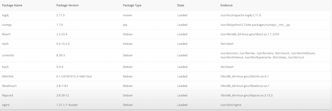 Screenshot of SBoM