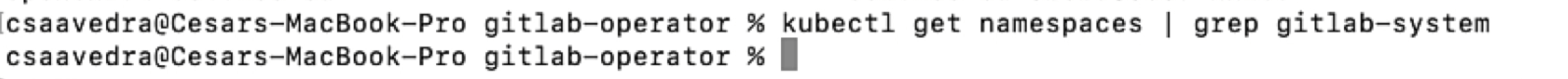 gitlab namespace not present