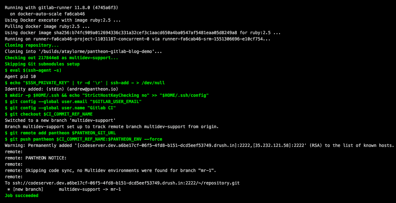 multidev deploy success