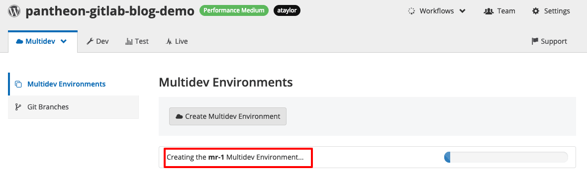 create multidev