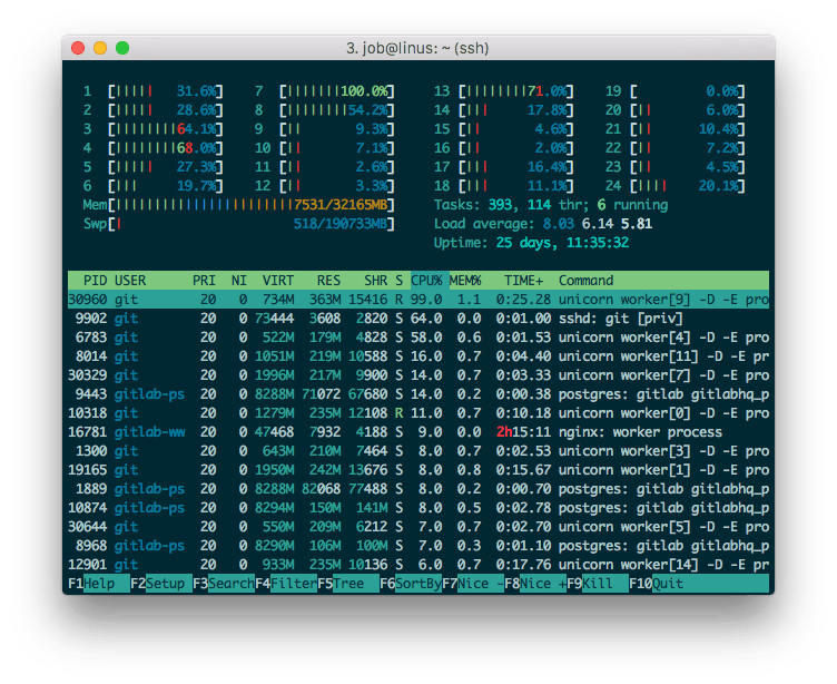 htop on GitLab server