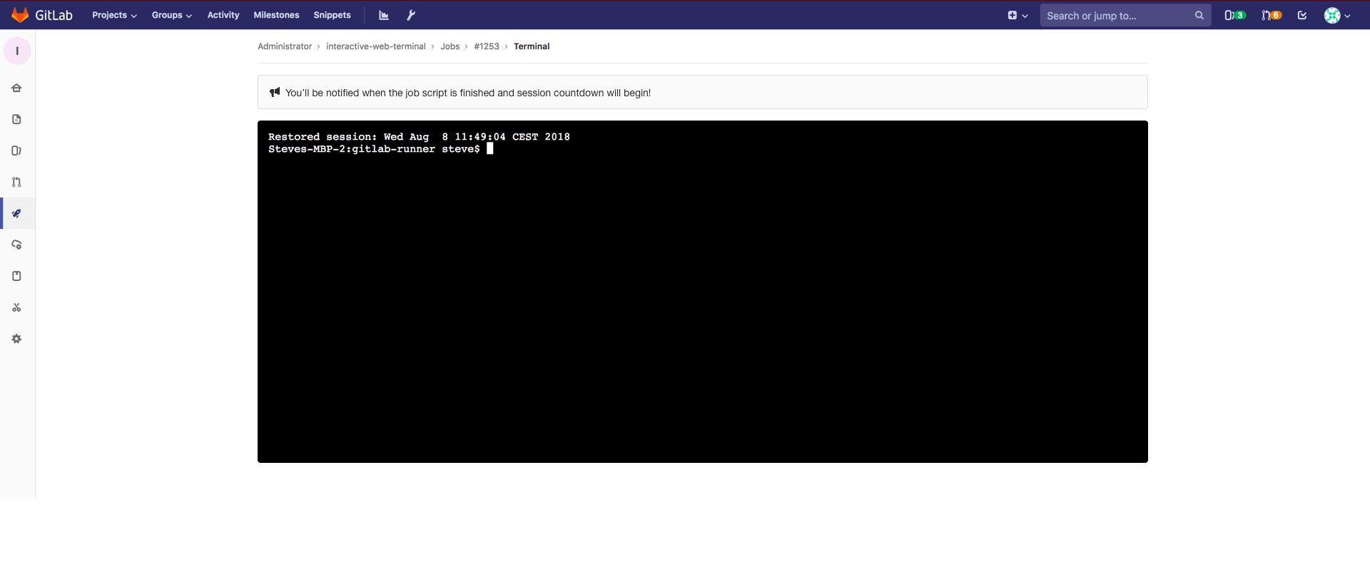 Web Terminal